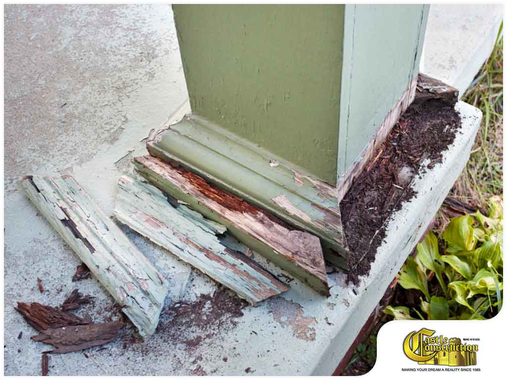 Protecting Your Home From Termite Damage