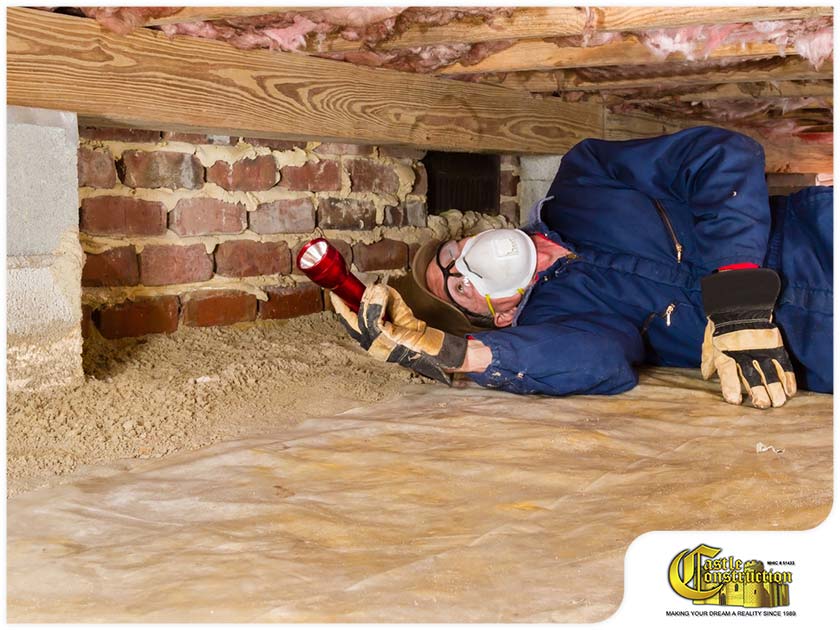Does Your Homeowner’s Insurance Cover Termite Damage