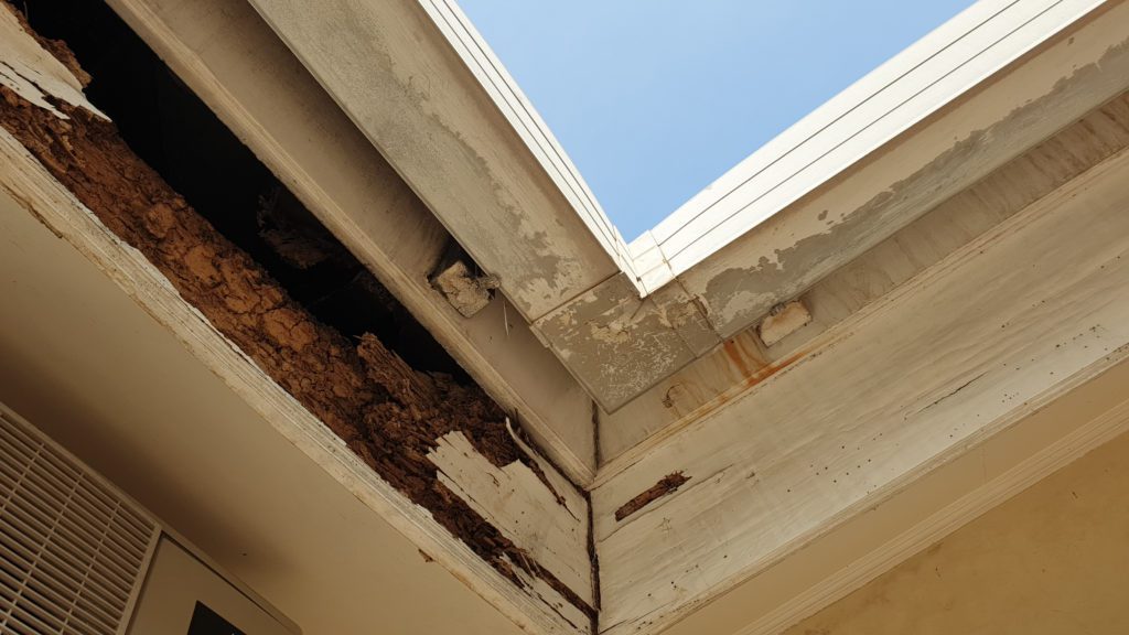 Repair Termite Damage