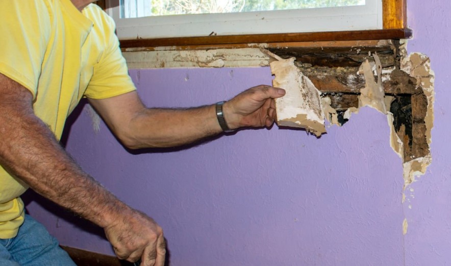 Termite Damage Drywall